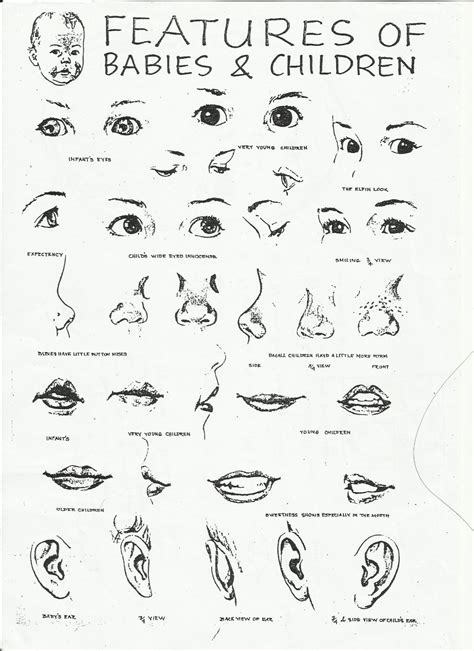 How To Draw A Cartoon Nose At Drawing Tutorials