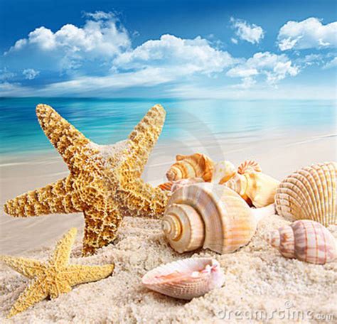 Starfish And Seashells On The Beach Royalty Free Stock Photos