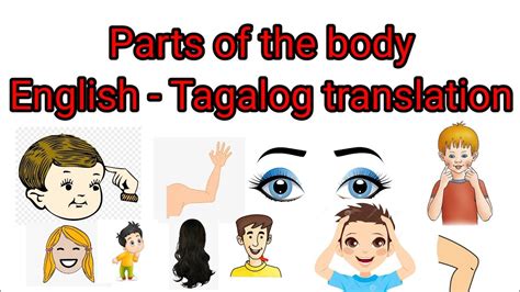 Parts Of The Body Bahagi Ng Katawan English Tagalog Translation YouTube