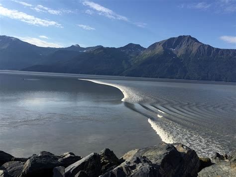 Surfing The Turnagain Arm Bore Tide Alaska Surfing