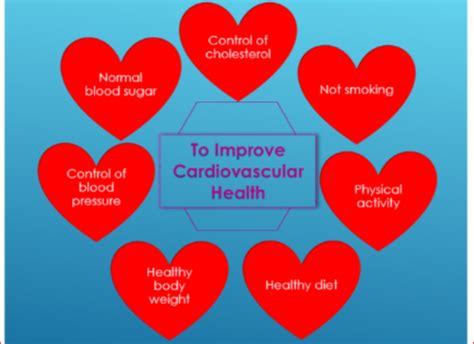 5 Effective Steps To Prevent Cardiovascular Disease W3buzz
