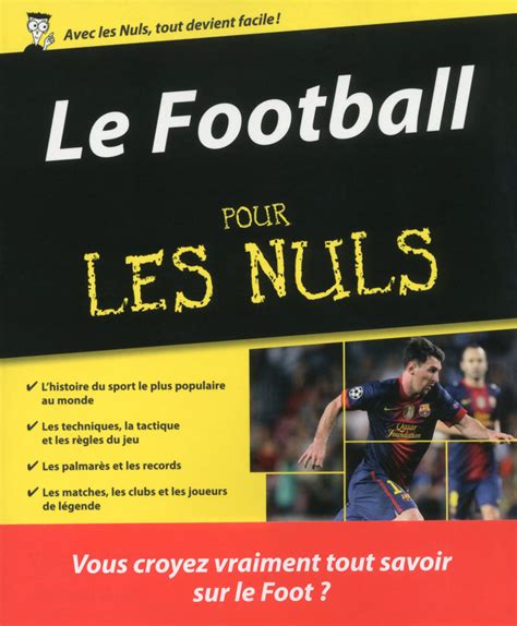 Access 2013 Pour Les Nuls Pdf