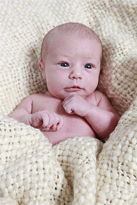 Newborn twins stock image. Image of affectionate, newborn - 6846515
