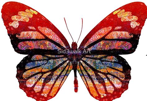Abstract Butterfly Drawings
