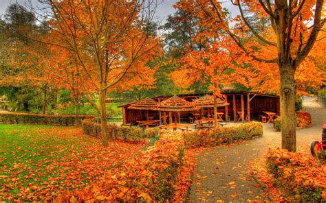 landscapes autumn fall color wallpaper [1920x1200]