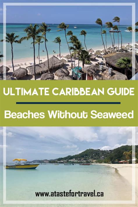 Best Caribbean Beaches Without Seaweed Where To Go In 2023 Caribbean