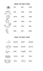 Parts of the body word search (easy). Pin en synoyms