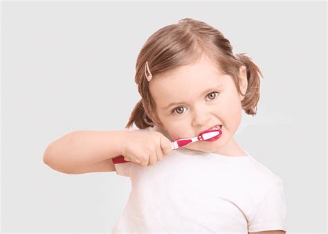 Brushing Teeth Fissure Brush Teeth Deciduous Teeth Tooth Pathology
