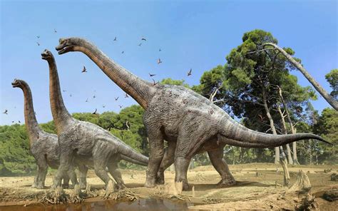 Brachiosaurus Huge Herbivorous Dinosaurs