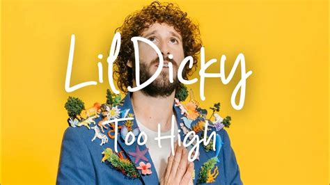 Lil Dicky Too High Slowed And Reverb Youtube