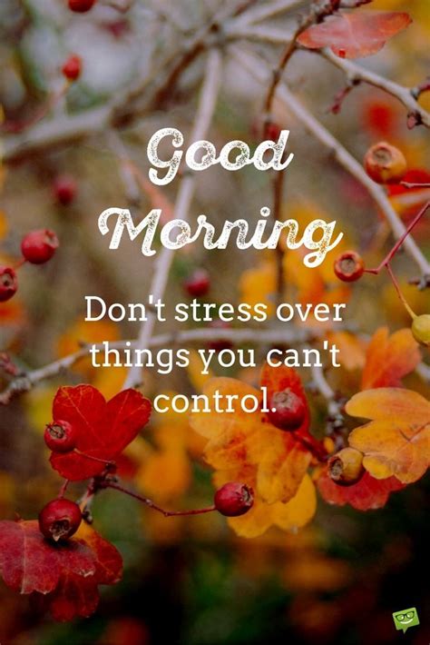 Words of wisdom good morning for employee. Fresh Inspirational Good Morning Quotes for the Day | Get on the Right Track
