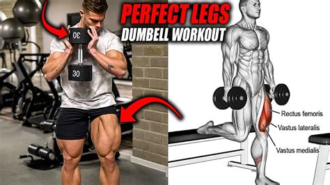 PERFECT DUMBELL LEGS WORKOUT 5 EXERCISES YouTube