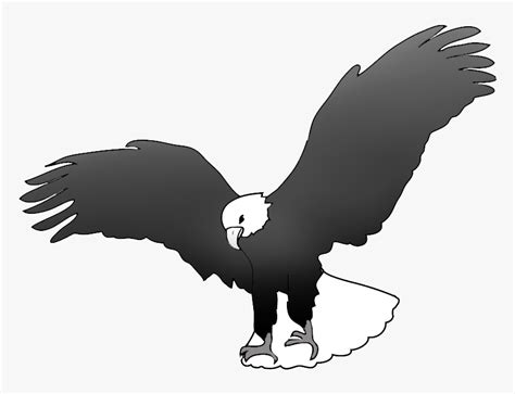 Bald Eagle Landing Drawing Black And White Drawing Of An Eagle Hd