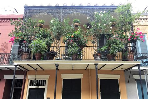 French Quarter Historical Sights And Stories Walking Tour 2024 Cool