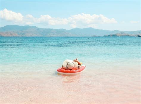 Explore The Beauty Of Pink Beach Lombok Dont Miss It