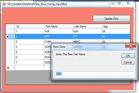 VB NET How To Update A DataGridView Row Using InputBox In VBNET C JAVA PHP Programming
