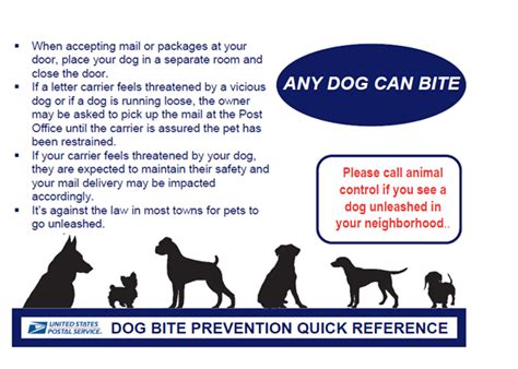 National Dog Bite Prevention Week City Of Durham Nis Community Engagement