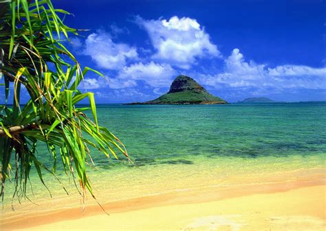 43 Hawaii Beach Pictures Wallpapers