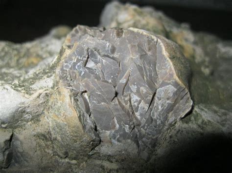 Roci Minerale Fosile Banat Calcar
