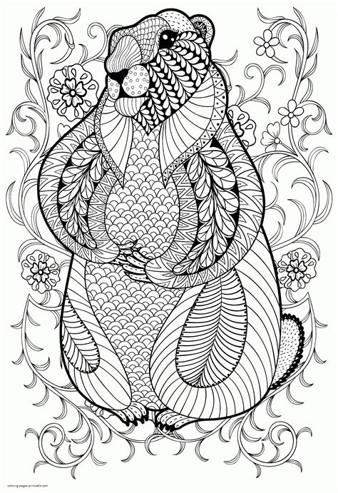 Simple Animal Coloring Pages For Adults Printable