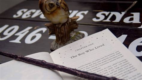 The harry potter alliance will host a livestream tonight at 8:30pm et, benefitting the louisville bail fund. Pakistan Has a New Harry Potter-Themed Cafe | Mental Floss