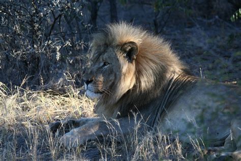 Namibia Wildlife Holidays Tailor Made Tours And Private Safaris