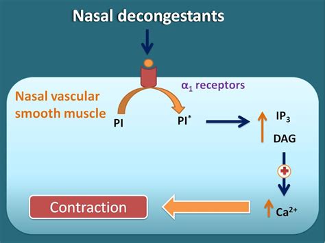 Under the label decongestants active substances are summarized, the only common feature of which is their decongestant effect. Nasal decongestants for stuffy nose