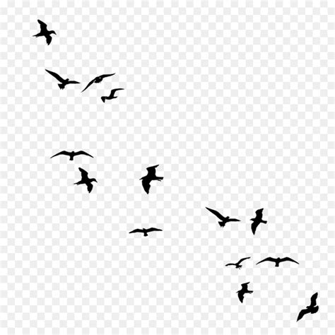 Hummingbird Computer Icons Symbol Goose Flying Birds Png Download