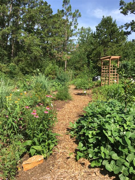 Explore An Edible Forest Garden At The Leon County Extension Office