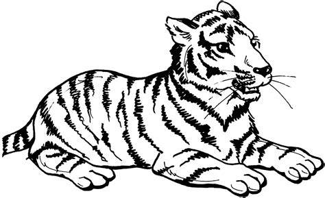 Coloring Pages Baby Tiger Coloring Page Free Printable Tiger Coloring