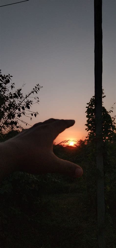 Hand Towards Sun Pixahive