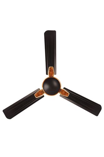 Stainless Steel Star Smoke Brown Ceiling Fan At Best Price In Delhi