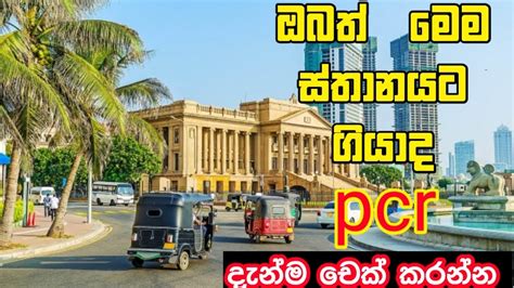 Sinhala Newsnews Sinhala Todaythe Best News On Repoter In Sri Lanka