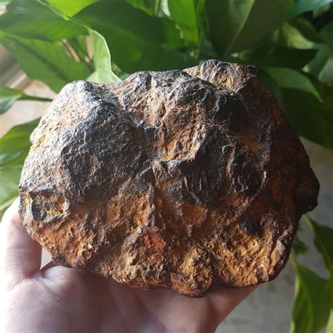 Nantan Meteorite Iron Meteorite 1116 G Barnebys