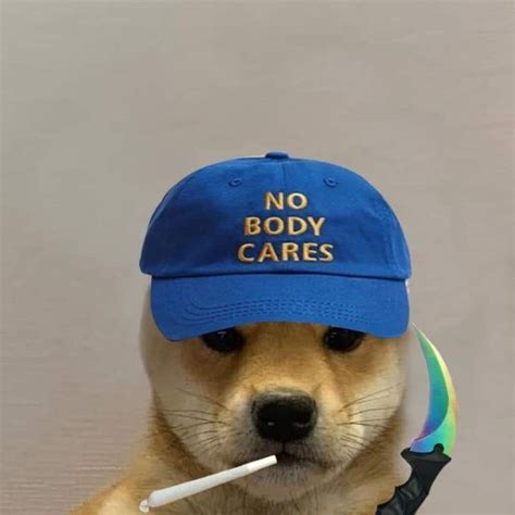 Doge Meme Dog Icon Dog Projects Dog Hat Hat Ideas Profile Photo