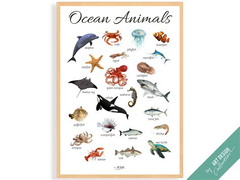 Ocean Animals Poster Montessori Poster Montessori Etsy New Zealand