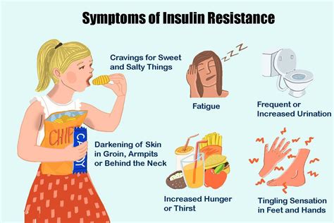Know About Insulin Resistance To Prevent Type Diabetes Breathe Well Being
