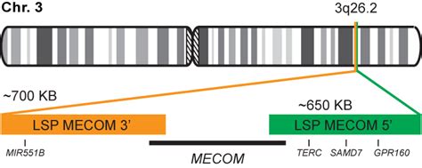 Mecom Break Apart Fish Probe Kit Cytotest