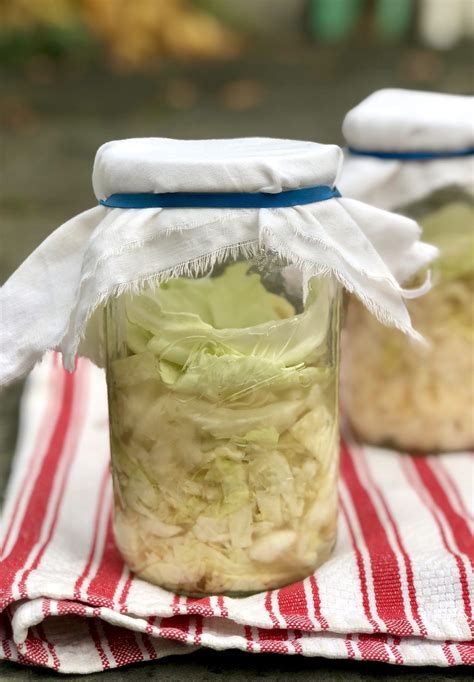 easy 2 ingredient fermented sauerkraut recipe fermented sauerkraut fermentation sauerkraut