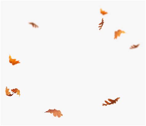 Discover & share this fall sticker for ios and android. Falling Leaves Png - Falling Autumn Leaves Png ...