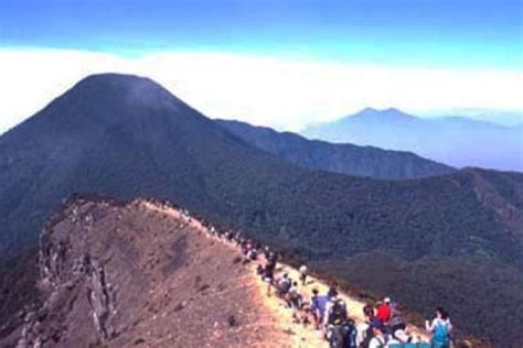 Jalur Pendakian Gunung Gede Kembali Dibuka Untuk Umum Antara News
