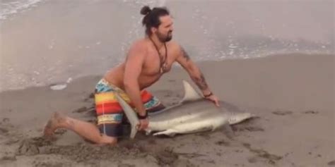 Florida Man Pulls Shark From Florida Waters For Photographs Video