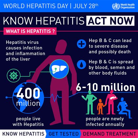 World hepatitis day is a public health holiday held each year to raise awareness about hepatitis, a group of infectious diseases that attack the liver and affect people all over the globe. World Hepatitis Day: Only one in 100 patients gets ...