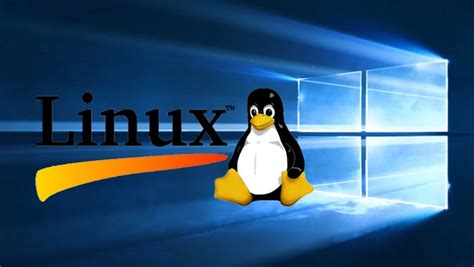 Cómo Instalar Linux Como Una Aplicación De Windows 10 Computer Hoy