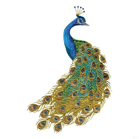 Design Peacock Clip Art Library