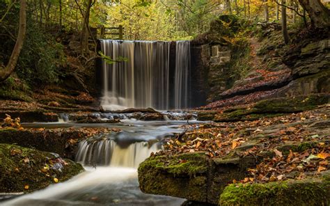 Download Wallpapers Autumn Waterfall River Autumn Forest Fallen