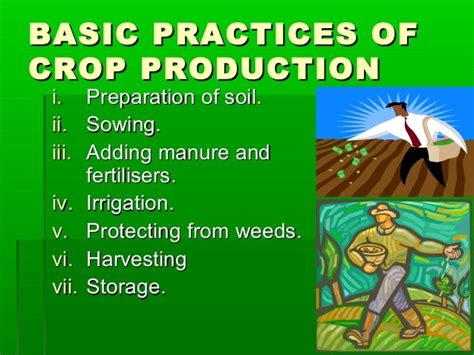 Crop Production And Management