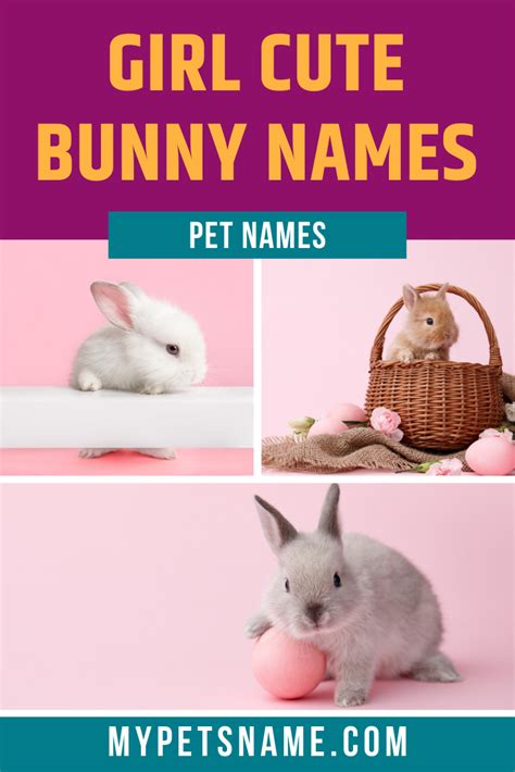 Bunny Names Artofit