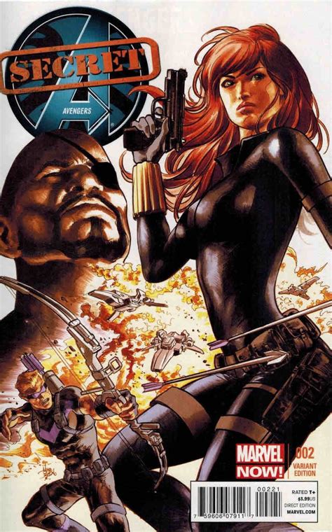 Secret Avengers Mike Deodato Hawkeye And Black Widow