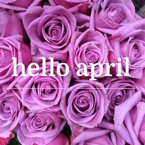 Hello April Hello April April Hello